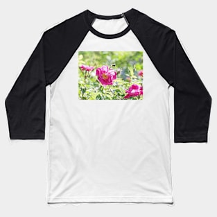 Busy Bee and Flower Baseball T-Shirt